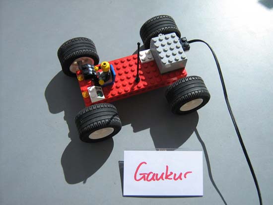 Gaukur1