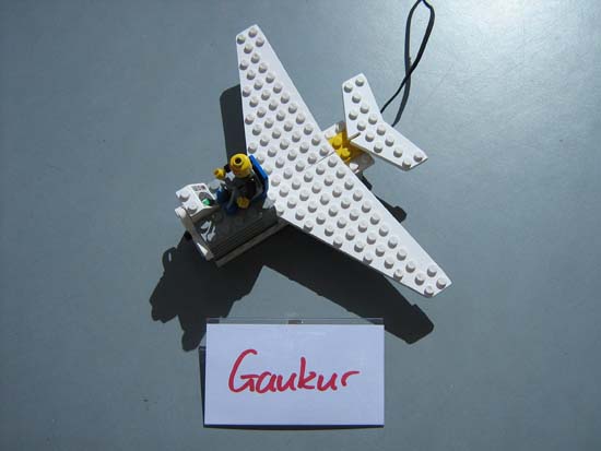 Gaukur2