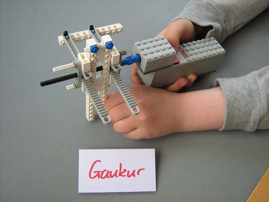 Gaukur5
