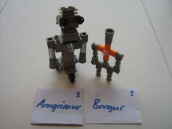 Bergur-Arngrimur 4