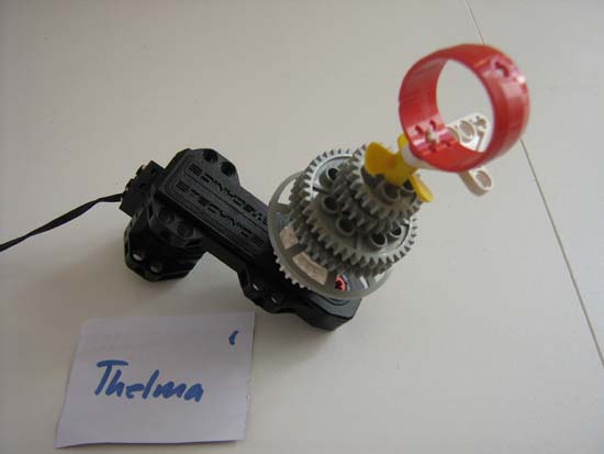 Thelma 4